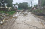 घुंगर्डे हादगाव येथील रस्त्याची दुरवस्था 