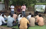 कापूस उत्पादकता वाढीसाठी शेतकऱ्यांना एकात्मिक कीड-रोग व्यवस्थापनाचे मार्गदर्शन